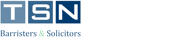 TSN LOGO